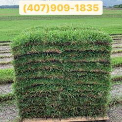 Grass!! 
