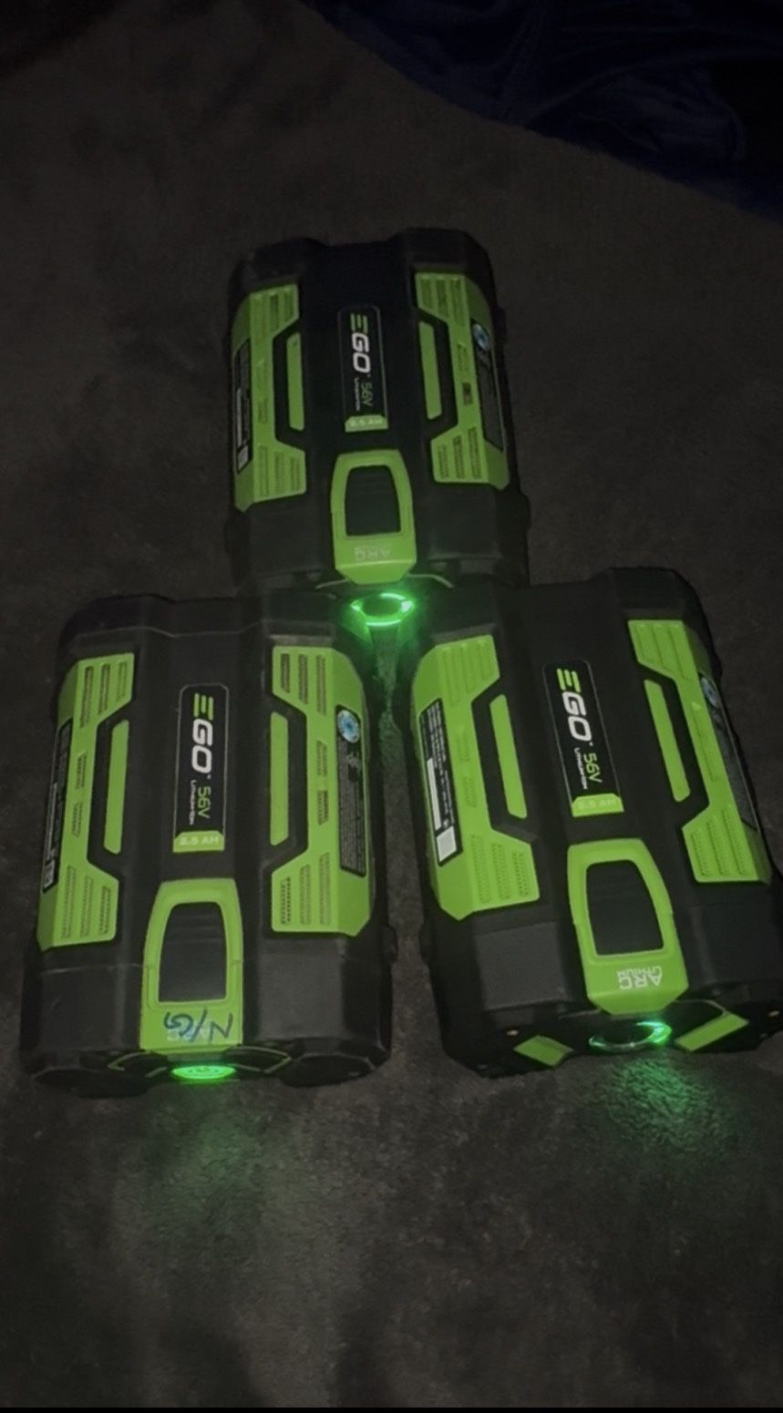 EGO POWER+ 56 -Volt, 2.5 Ah Batteries