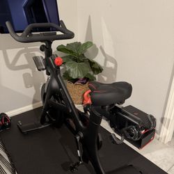 Peloton bike+ matt & shoes