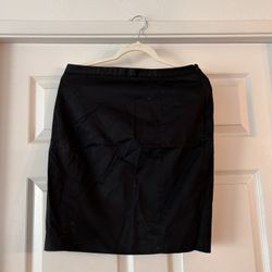 Express Skirt- Size 10