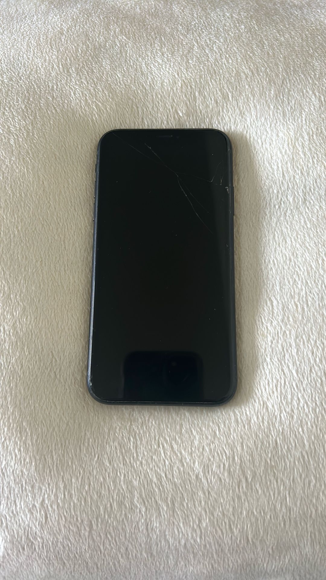 iPhone X