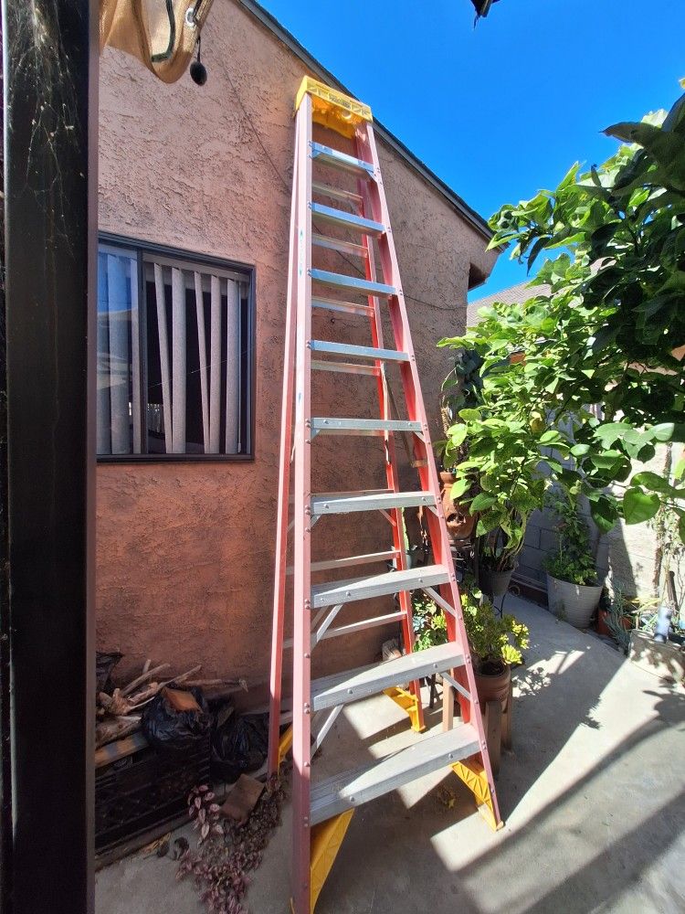 12 Feet Ladder