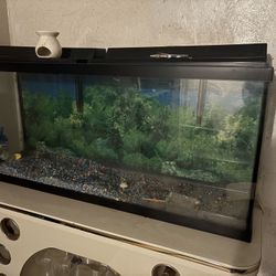 Big Tank For Fish Or Any Kind Of Animal 