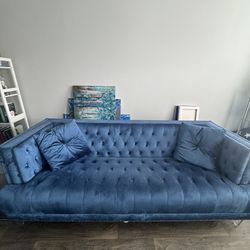  Blue Velvet sofa 