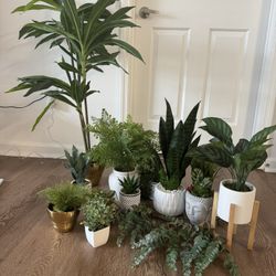 Fake Plant Collection 