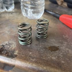 Mini bike springs