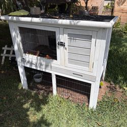 Rabbit Hutch 
