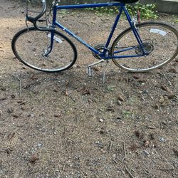 Shogun 10 Speed Road Bike $75