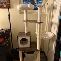 Cat Tower