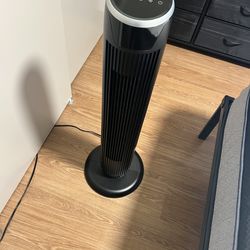 Fan