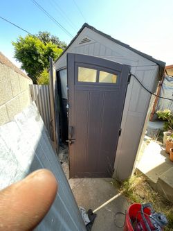 Shed