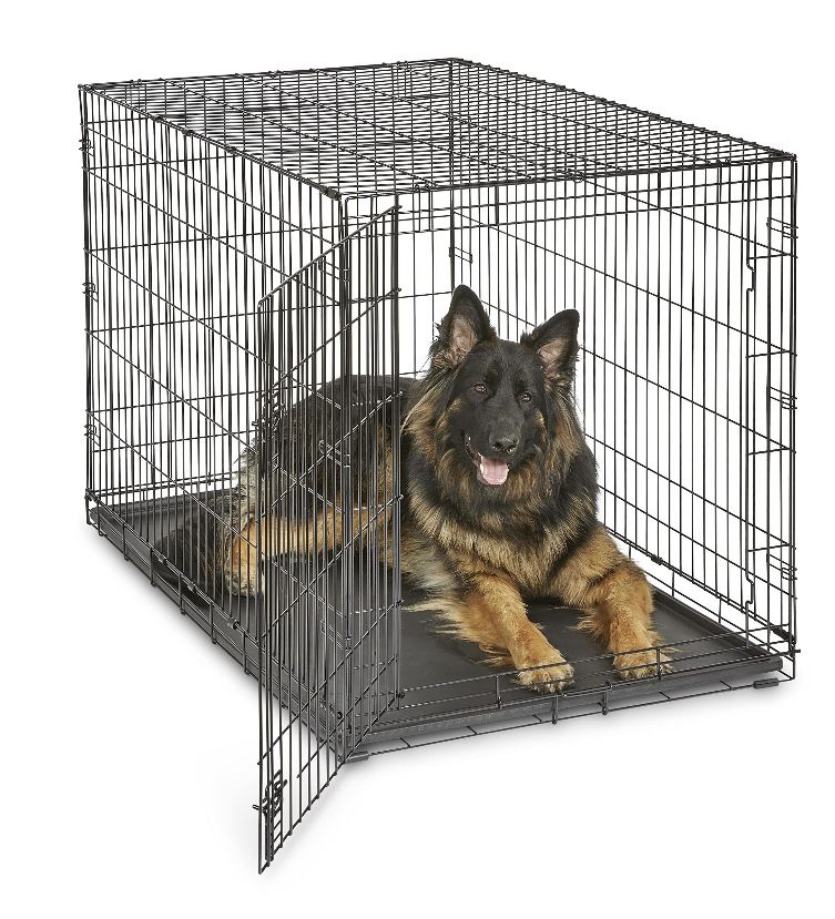 Amazon Basics Foldable Metal Wire Dog Crate with Tray, Double Door, 48 x 30 x 32.5 Inches,New