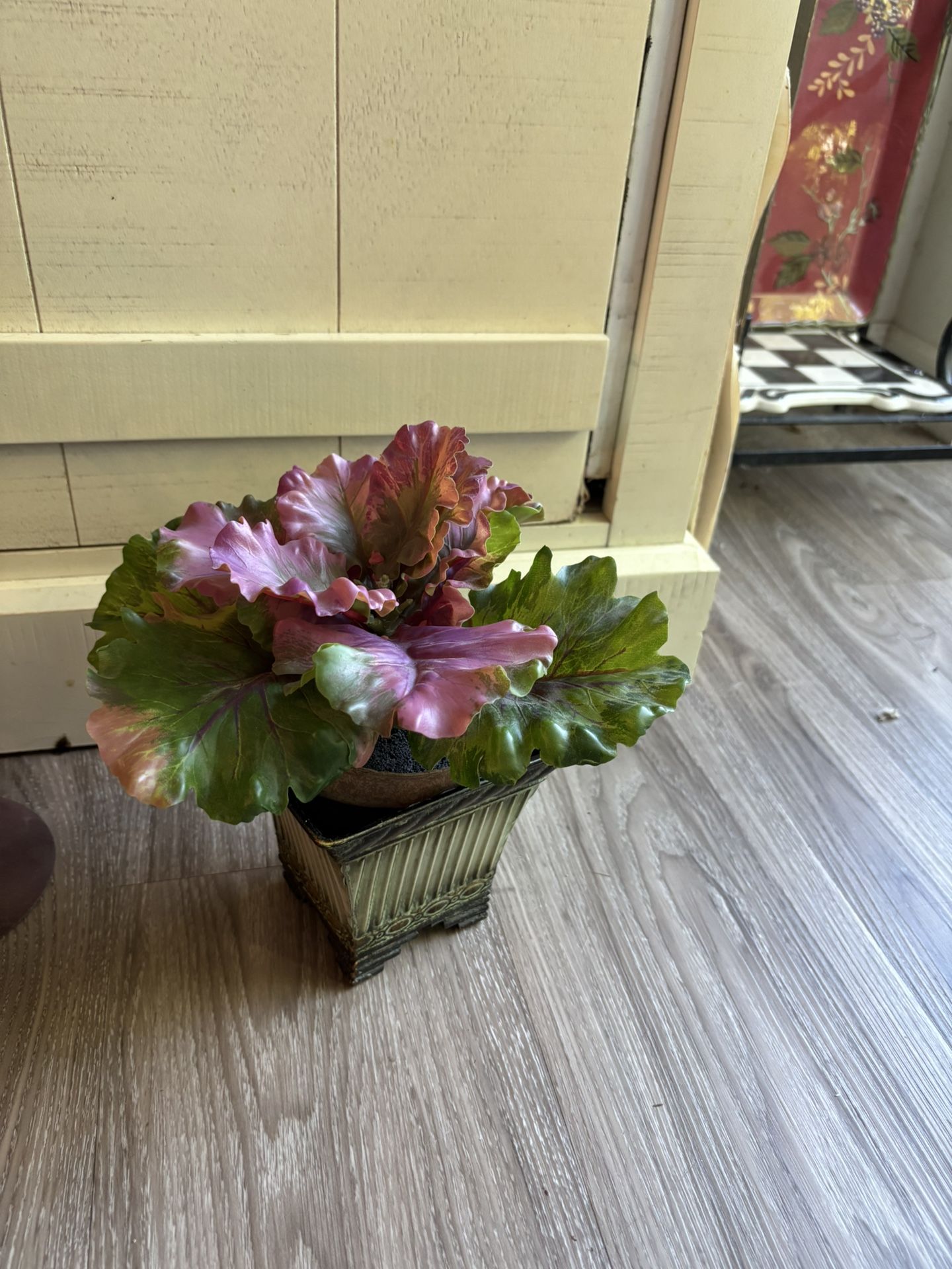 4” Pot With Cabbage Flower