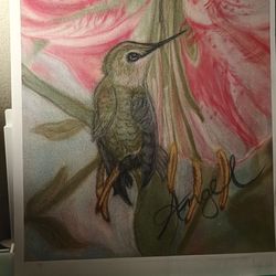 Soft Pastel Paintings