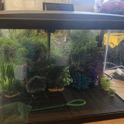 Aquarium Supplies with tank Almost Brand New