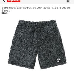SS23 Supreme x The North Face High Pile Fleece Shorts