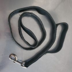 Leash With 2 Handles