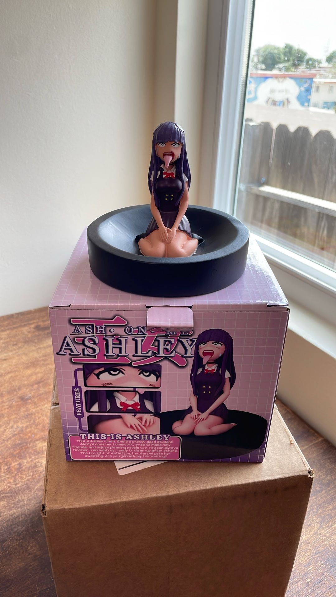 Nothing Personal Ash On Me Ashley Ashtray
