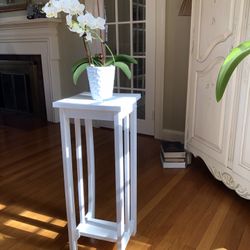 Solid Wood Plant Stand (Like New)