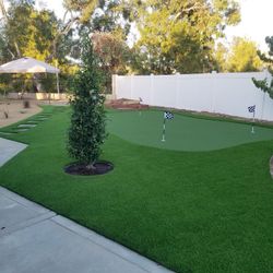 Synthetic grass and putting green