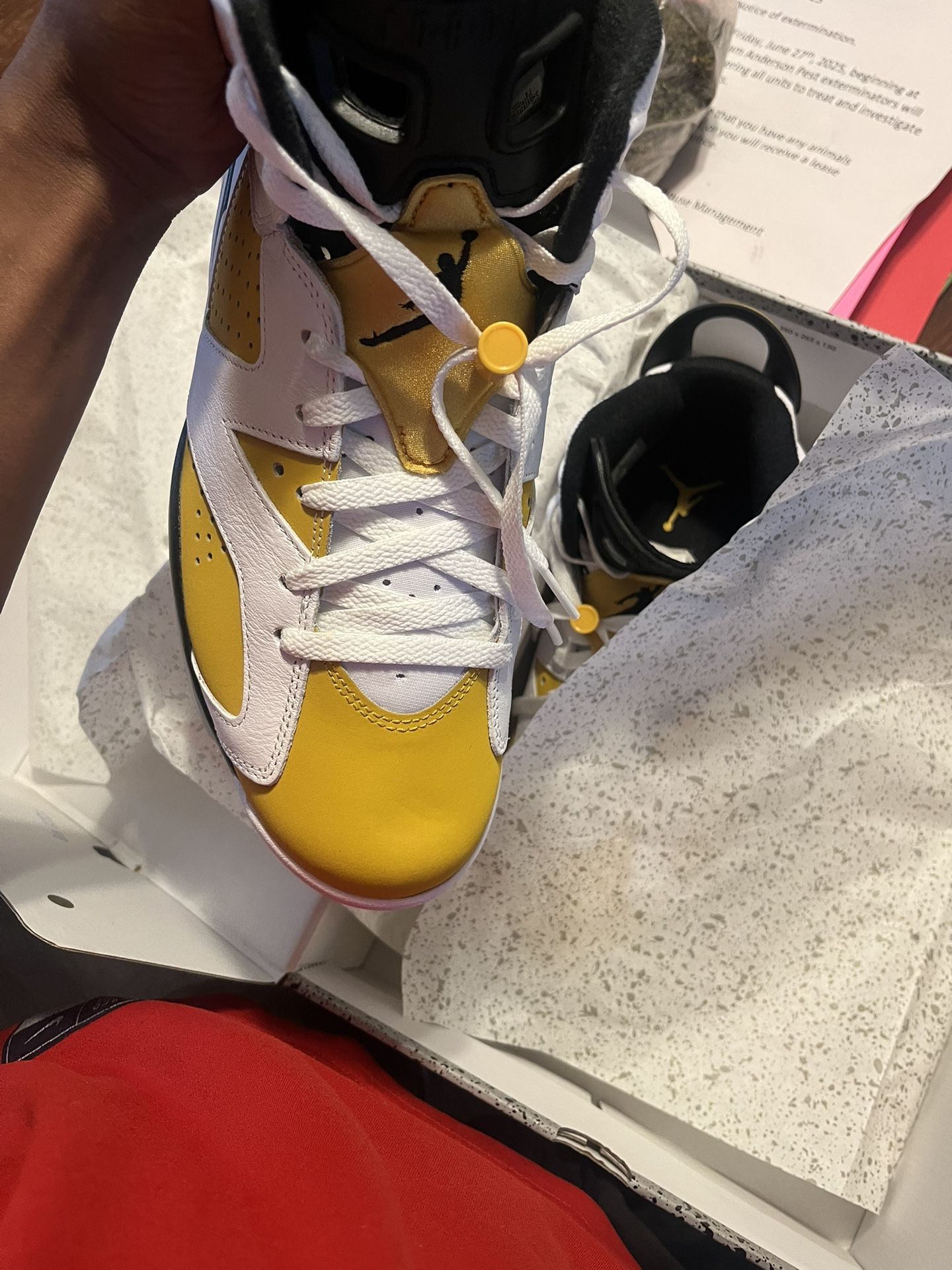 Jordan 6 Size 11 Worn 