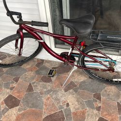 Mens Jamis Cruiser Bike New Rust Proof Chain