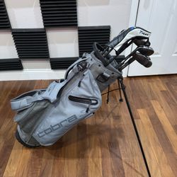 Cobra Ultralight Stand Bag