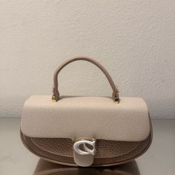Women brown with Beige  bag