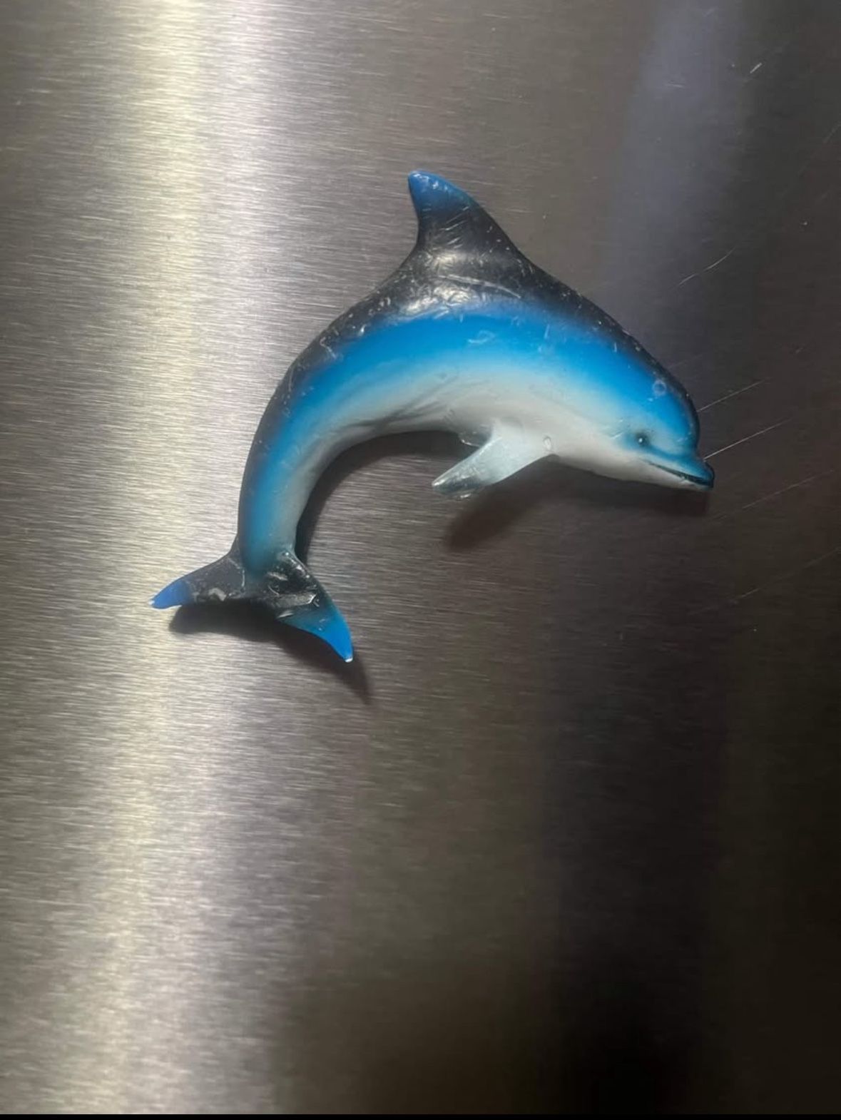 Dolphin Magnet