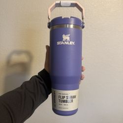 NEW Purple with Pink Stanley 