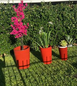 glossy red ceramic planters appear to be similar to the Marta Tropic Red Glazed Terra Cotta set.
