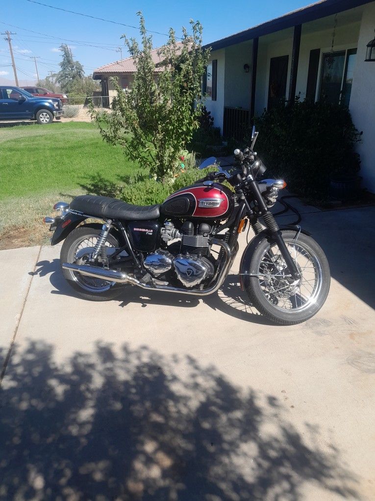 2014 Triumph T100