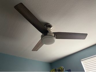Ceiling fan