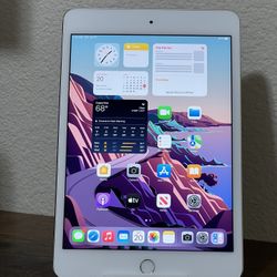 Apple iPad Mini 4th Generation A1538 7.9in Wi-Fi Only 2GB RAM 16GB - Silver