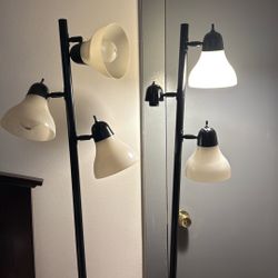 Lamps 