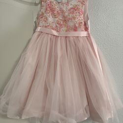 Little Girls Beautiful Net Dress