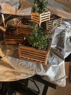 Better GRO Square Cedar Basket, 5” 7” 8" and 9