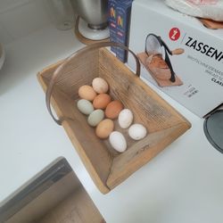 Fresh Eggs From Organic Fed Chickens