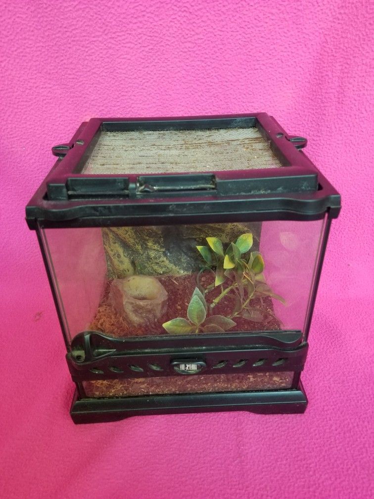 small reptile glass cage / Terrario de Vidrio ( SEE ALL PICS FOR MEASURES & CONDITION PLEASE )