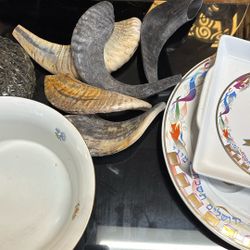 Horns Shofar 