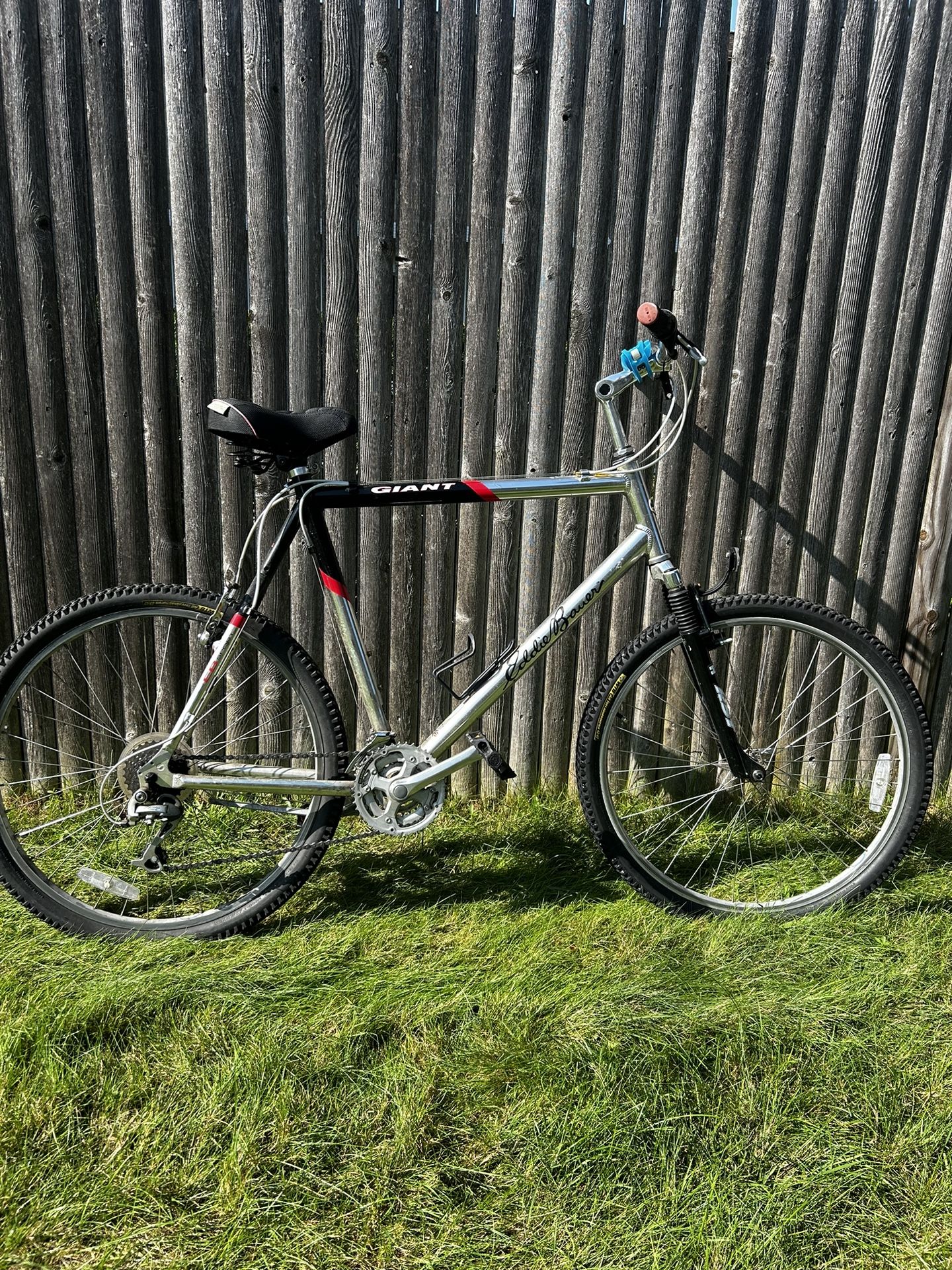 Eddie Bauer Giant Mountain Bike