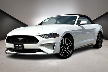 2022 Ford Mustang
