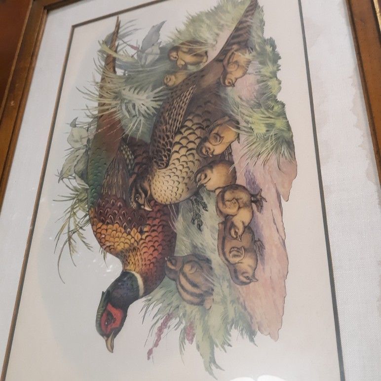 Game Birds By Cartier F64-462