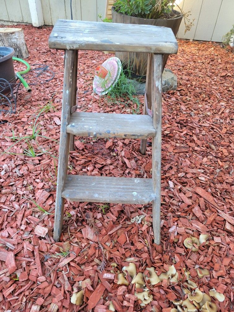 Vintage Ladder