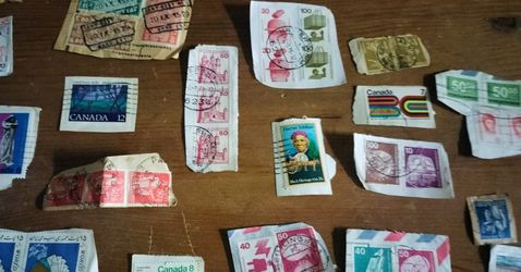 Stamp Collection 
