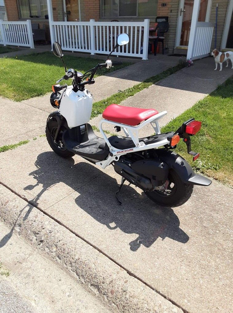 Honda Ruckus For Sale - ZeCycles