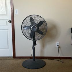 Fan