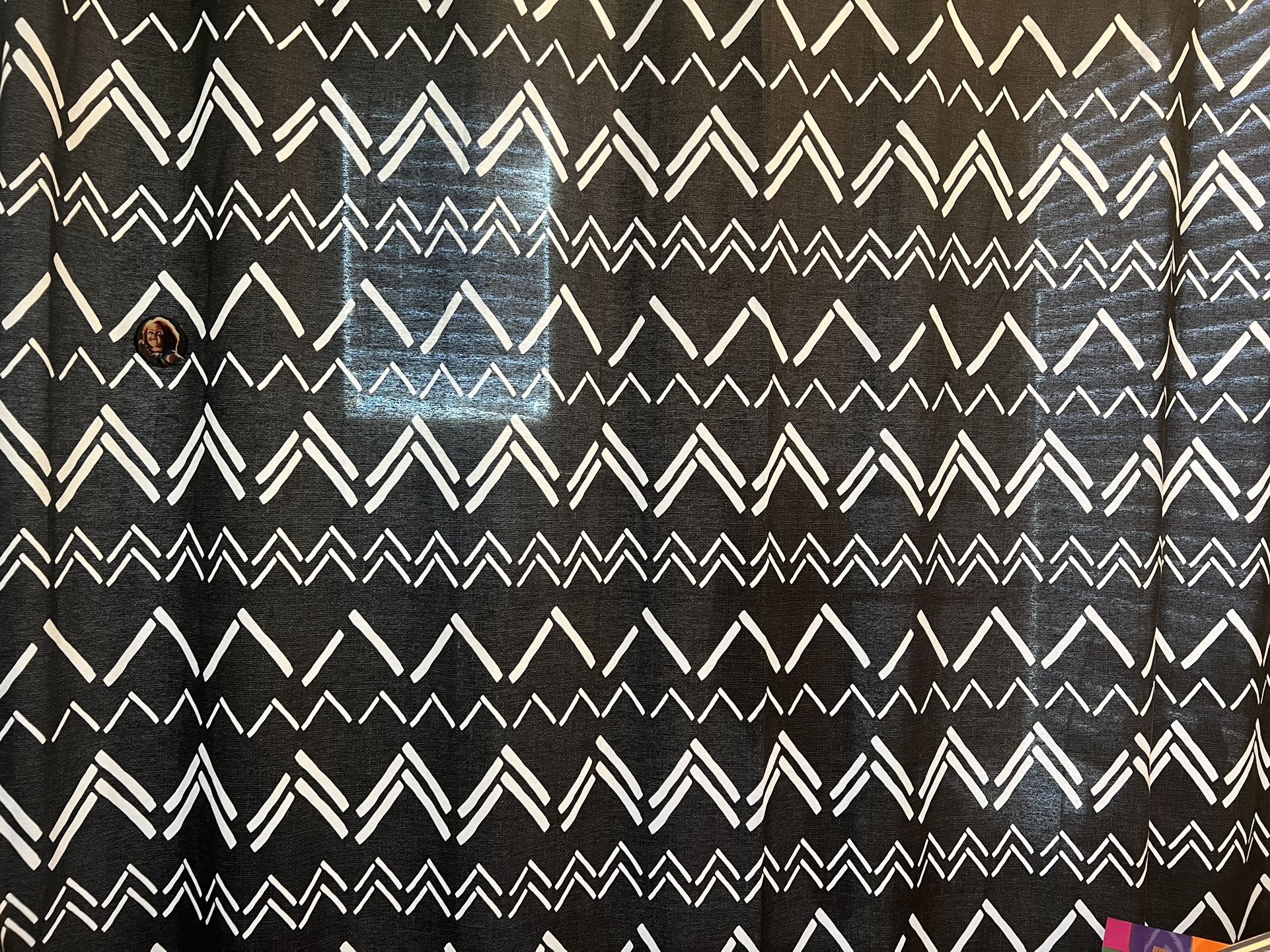 Black/White Shower Curtain