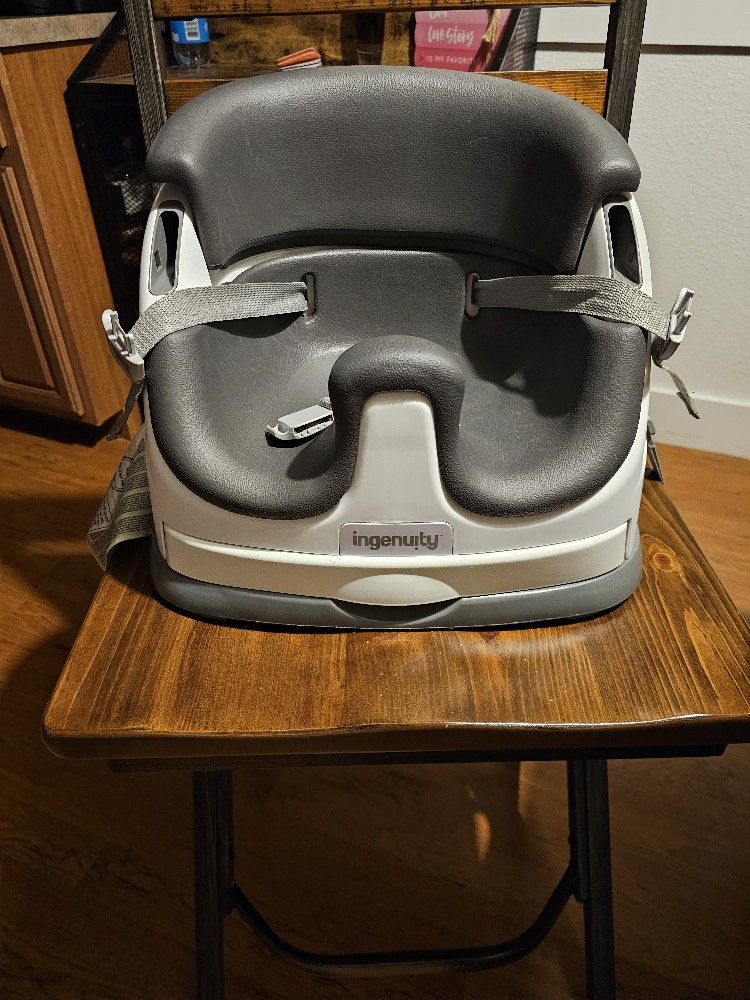 Ingenuity Booster Infant Seat
