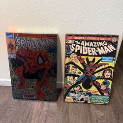 Spider Man Wall Art
